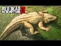 Как найти Легендарного АЛЛИГАТОРА - RDR 2 Охота