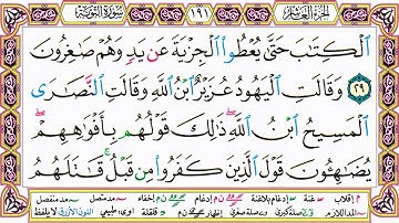 القرآن الكريم مقسم صفحات | الشيخ حاتم فريد | سورة التوبة | صفحة 191 مكتوبة | مصحف التجويد الملون