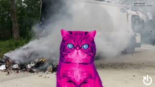 HypnoCat - Never bin hidden batteries!