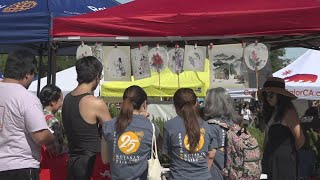 11th annual Elk Grove Multicultural Festival brings thousands to city