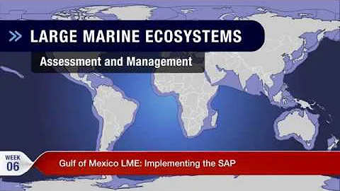 Week 6: Christian Susan on the Gulf of Mexico LME ...