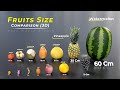 Fruit size comparison | 🍍🍎🍓🍇 | Fruits name | Size comparison
