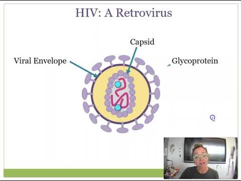 वीडियो: रेट्रोवायरस के निदान और उपचार के सरल तरीके: १० कदम