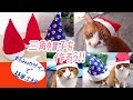 布製三角帽子の作り方 《 手作り猫グッズ 》 how to make pointy hat