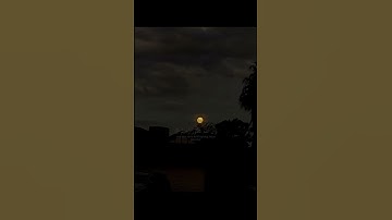 سورة المائده الايه 98 بصوت #محمد_الحيدان #قرآن #اكتب_شي_توجر_عليه #راحة_نفسية#اكسبلور #quran #دويتو