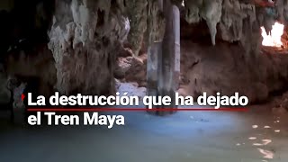 ¡Detengamos este #ECOCIDIO! El Tren maya está destruyendo cenotes en la selva de Quintana Roo