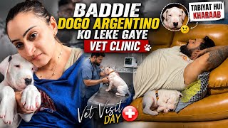Dogo Argentino Baddie Ko Kyun Lekar Jana Pada Vet Clinic !!!
