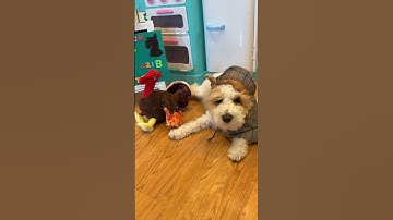 Sherlock Bones case 5! Check out the full vid on home /videos page or click the link! 👆🏻