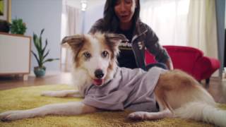 SparePups How To Find Storage Deals