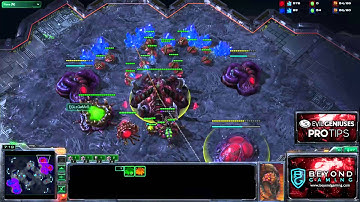 Beyond Gaming Pro Tips: EG.LzGaMeR Explains A Roach/Queen Timing ZvZ