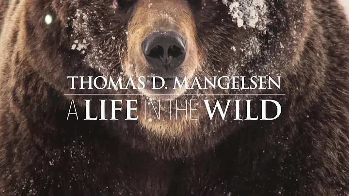 Thomas D. Mangelsen: A Life in the Wild