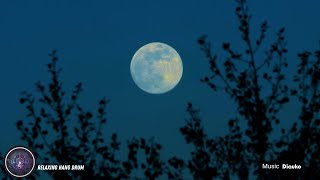 Relaxing Night Sounds: Moonlit Tongue Drum & Birds