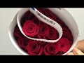 How long it takes for roses to fully open  globalrose on youtube
