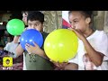 قرنقشوه شناص قرنقشوه شناص
