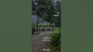 #سعد_الغامدي #سورة_الروم