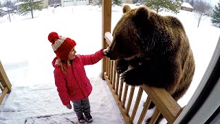 Dangerous Animals Caught Being Friendly