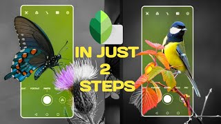 3D mobile frame Photo Editing | Snapseed Tutorial | Creative 3d mobile camera screenshot 5