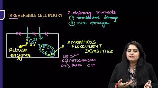 Necrosis Cell Injury Pathology Part 1 RR By Dr Preeti Sharma for FMGE and NEET PG Aspirants 