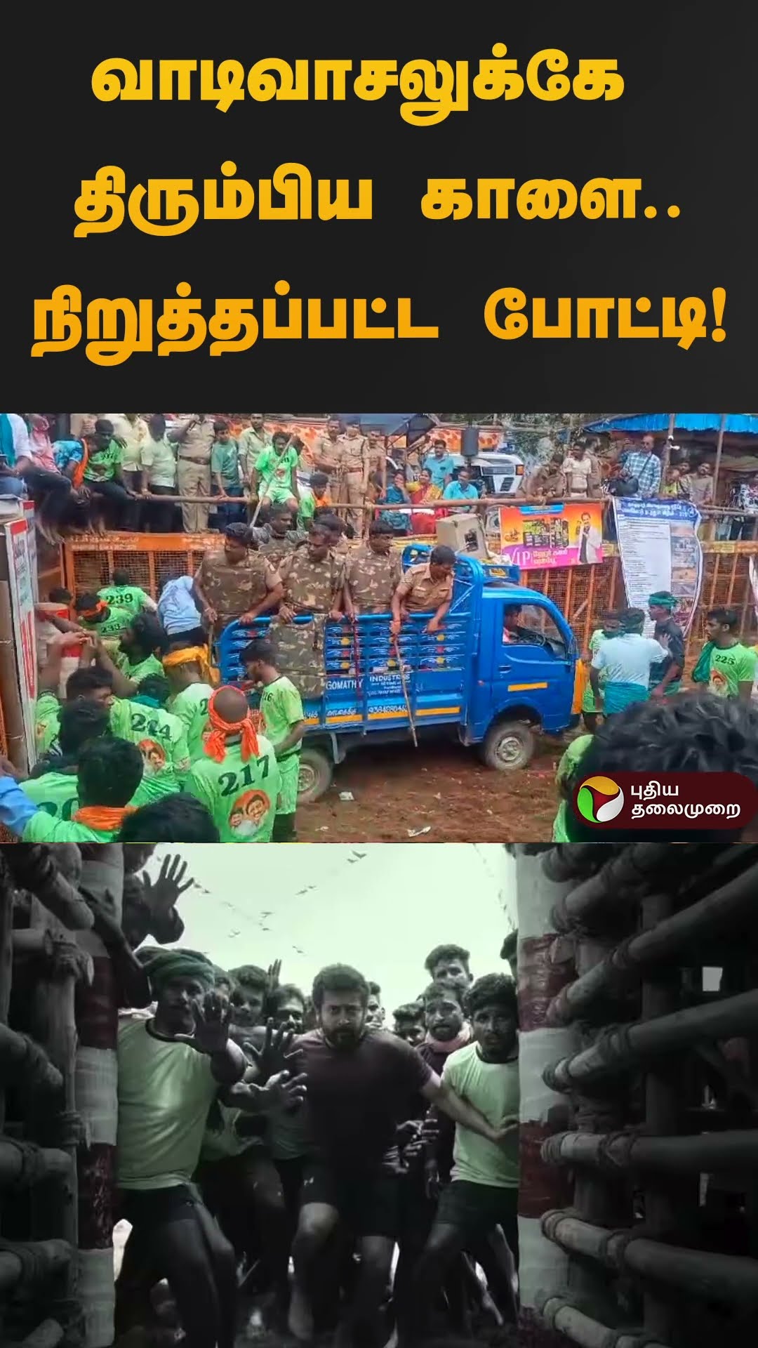 வாடிவாசலுக்கே திரும்பிய காளை.. நிறுத்தப்பட்ட போட்டி! | #jallikattu2025 | #madurai | #shorts