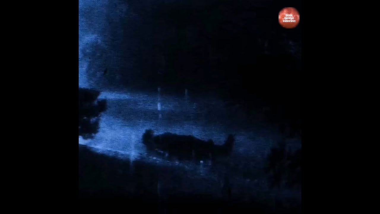 STAMCA - trẻ bối rối x ngủ quá giờ trưa