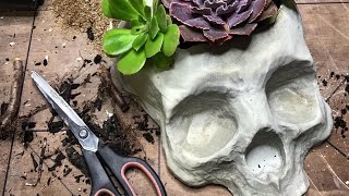 Concrete Molds For The Diyer