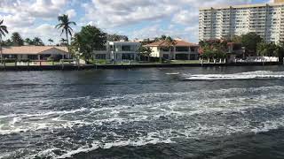 Hallandale beach. Juniper on the water