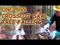 One Man Crosscut Saw Tree Falling