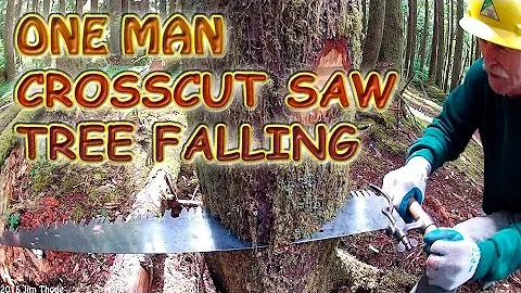 One Man Crosscut Saw Tree Falling
