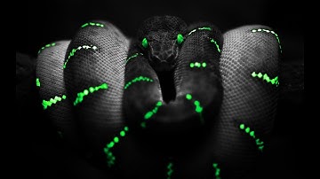 [Challenge] CREAR el JUEGO SNAKE en 28 minutos