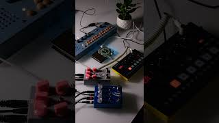 Pocket SCÍON   Organelle M   Roland P-6   AC Noises AMA and RICORDA