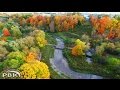 Toronto Fall Autumn Colors Ontario Canada Maple Trees Colors