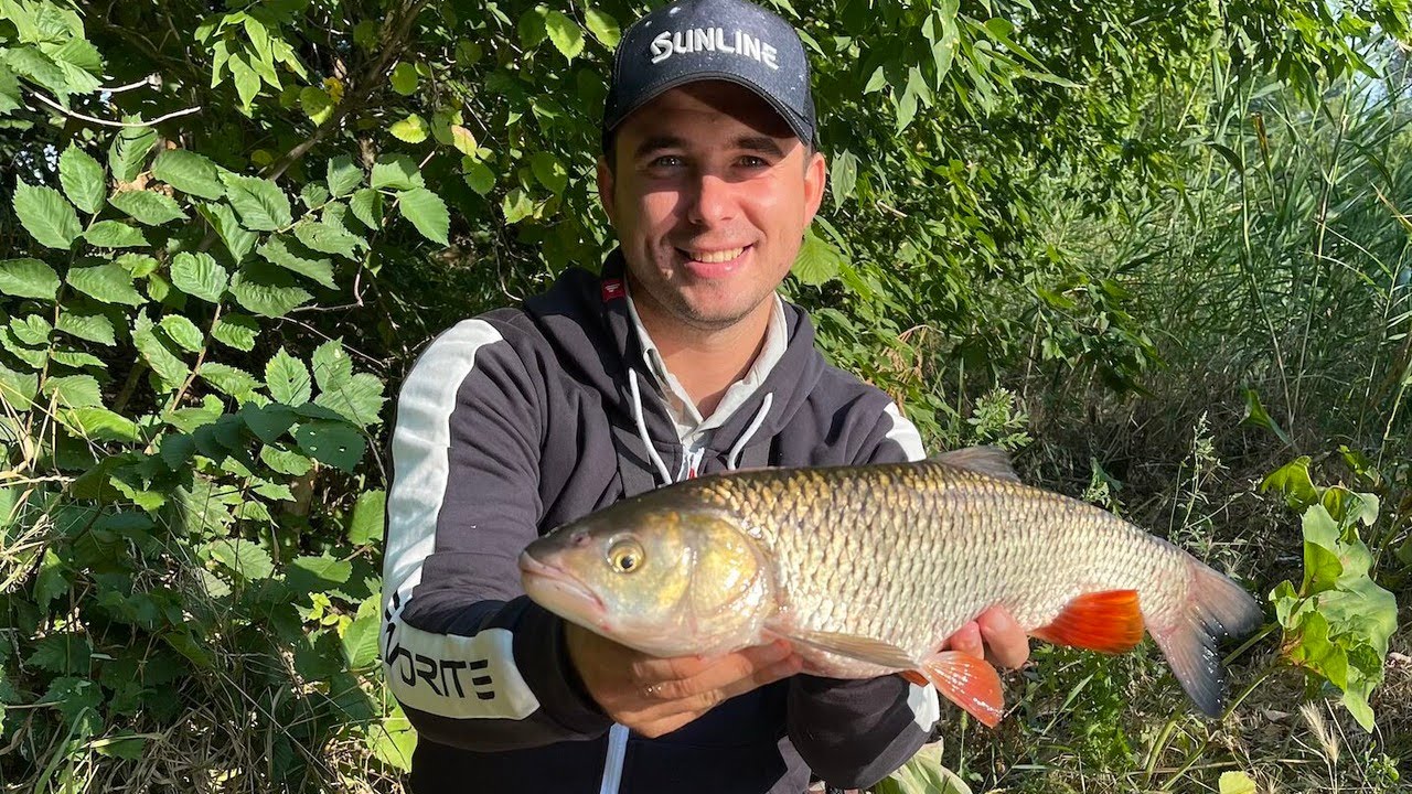 Ловля спиннингом на реке 5 видов рыб! Собираем универсальный комплект ...