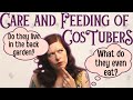 The Care + Feeding of a CosTuber - How To Support Costubers