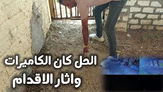 اخطر تليفون سمعته .الحق الكلبه هربت الفجر .بصراحه صدمتني وقولت كدا خلاص مش هشوفها تاني #ابّونور