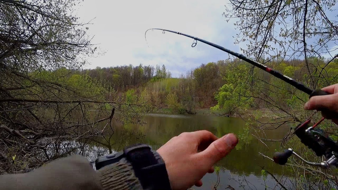 видео про рыбалку с фидером на реке