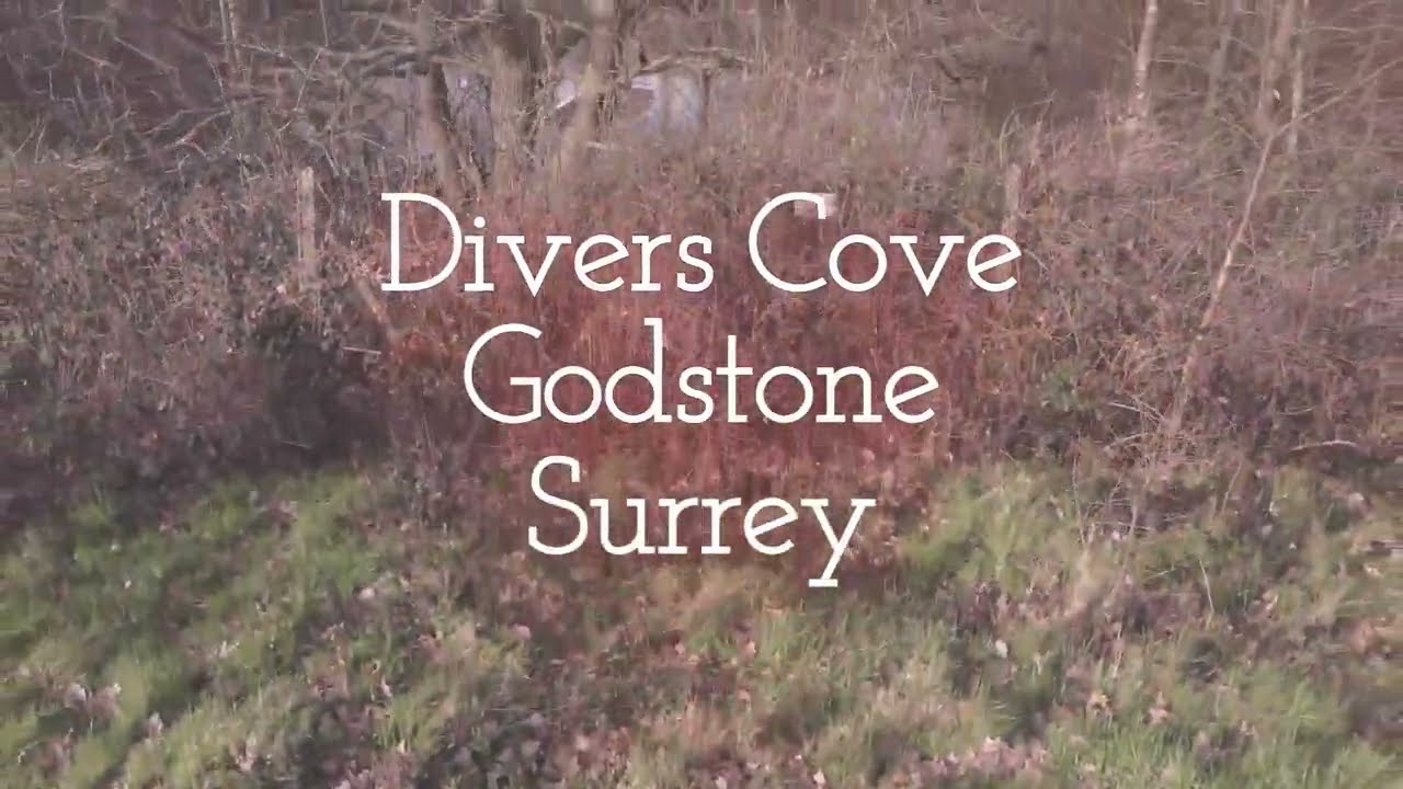 Divers Cove, Godstone Surrey