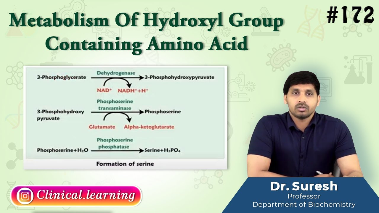 172. Metabolism Of Hydroxyl Group Containing Amino Acid - YouTube