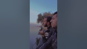 وقال اركبوا فيها بسم الله مجريها ومرساها - بالطور اللامي العراقي - القارئ مصطفى الحساني - الوصف مهم