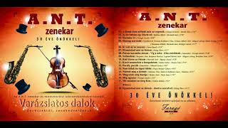 Video thumbnail of "05. A 46-os sárga villamoson - ANT zenekar - Varázslatos dalok CD"