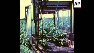 Celebrity UPITN 8 9 75 NEW MACHINES HELP AMERICAN FARMERS FIND THE SOLUTION TO INCREASING SOYBEAN YEILDS Net Worth