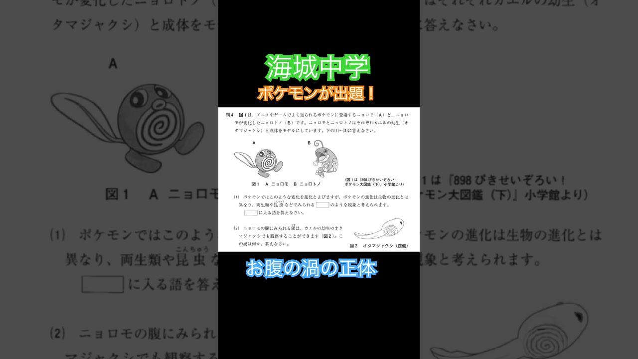 2026年度(令和8年度)海城中学(一般入試①)の全問解答解説・一部動画