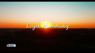 Nasheed - Loyal Humming