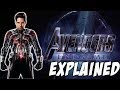 Avengers Endgame  | Ant-Man Time Travel Explained