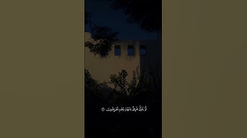{ أَلَمْ تَرَ إِلَى الَّذِينَ أُوتُوا نَصِيبًا …} تلاوة خاشعة للقارئ علي بن جمعة الشيرازي #quran