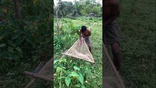 mad boy catching fish coin in the roadside