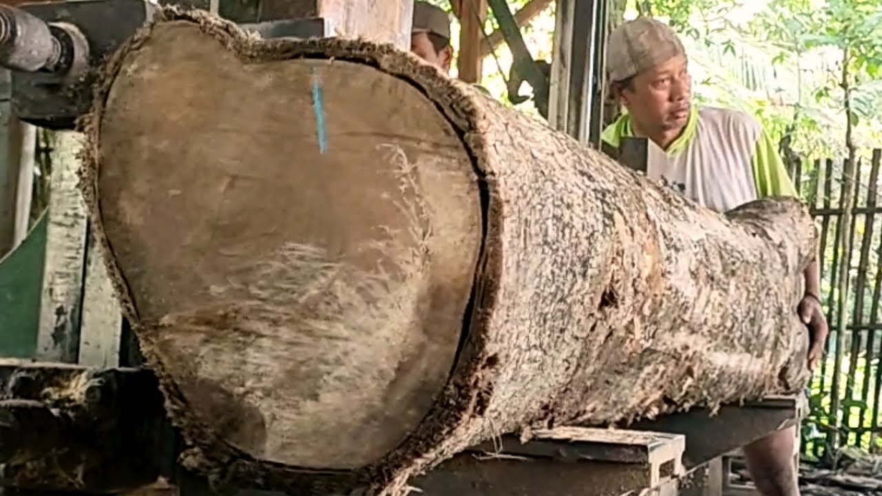 The most extreme sawmill || Turning logs into amazingly amazing ...