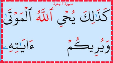 تعلم القراءة والكتابة سورة البقرة آية 70