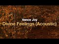 Vance Joy Divine Feelings Acoustic Lyrics 