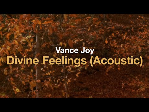 Vance Joy - Divine Feelings (Acoustic) (Lyrics)