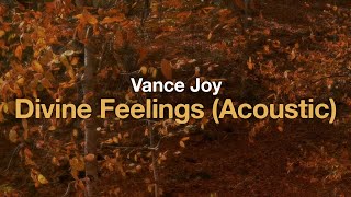 Vance Joy - Divine Feelings (Acoustic) (Lyrics)
